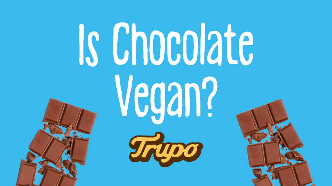 Is Chocolate Vegan?